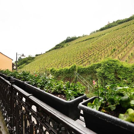 Alte Stadtvilla Am Weinberg 3 Traben-Trarbach Exteriér fotografie