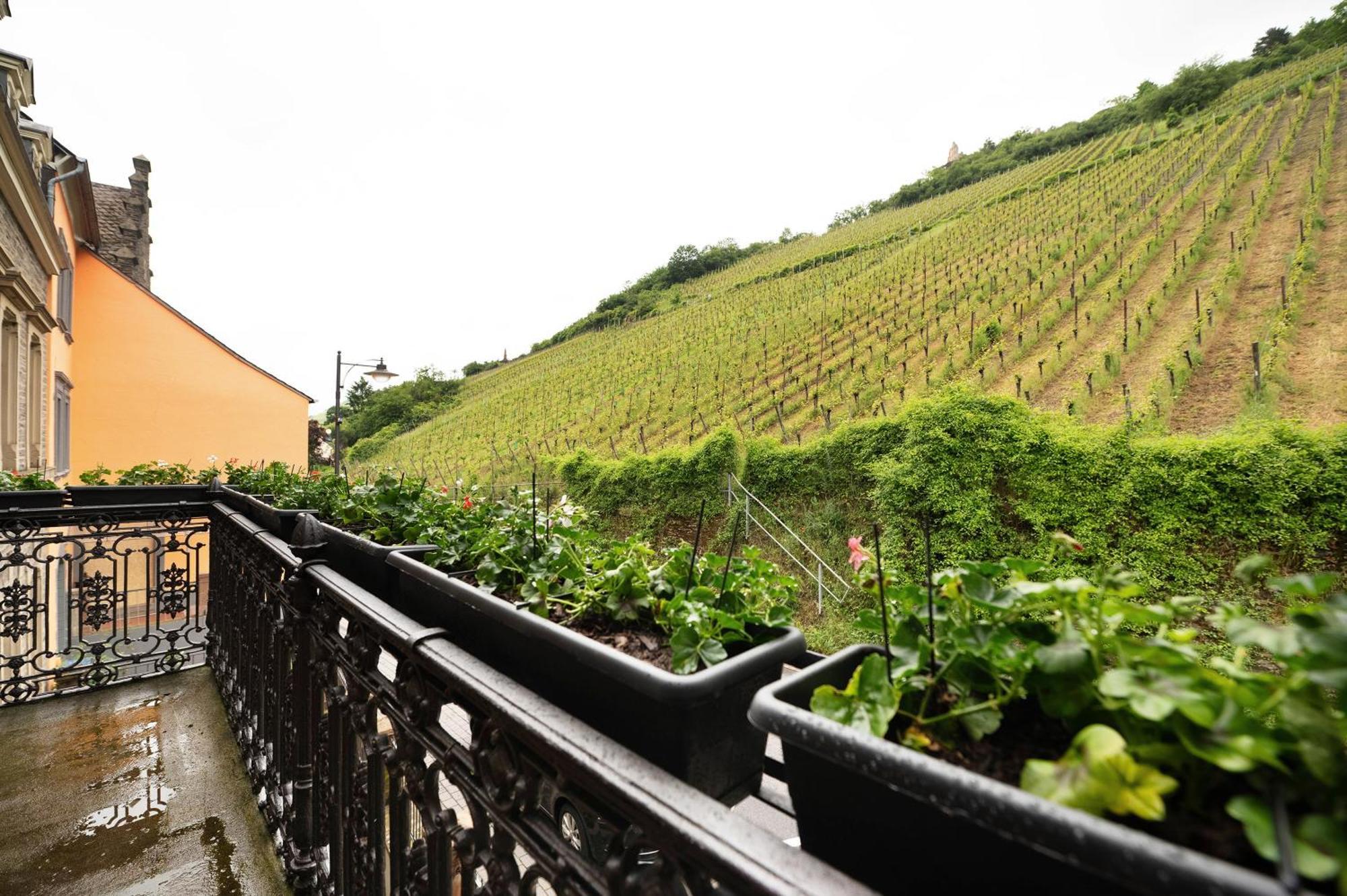Alte Stadtvilla Am Weinberg 3 Traben-Trarbach Exteriér fotografie